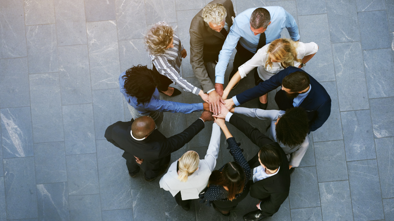Strengthening Collaboration: How SIBS Consulting Supports Effective Project Implementation